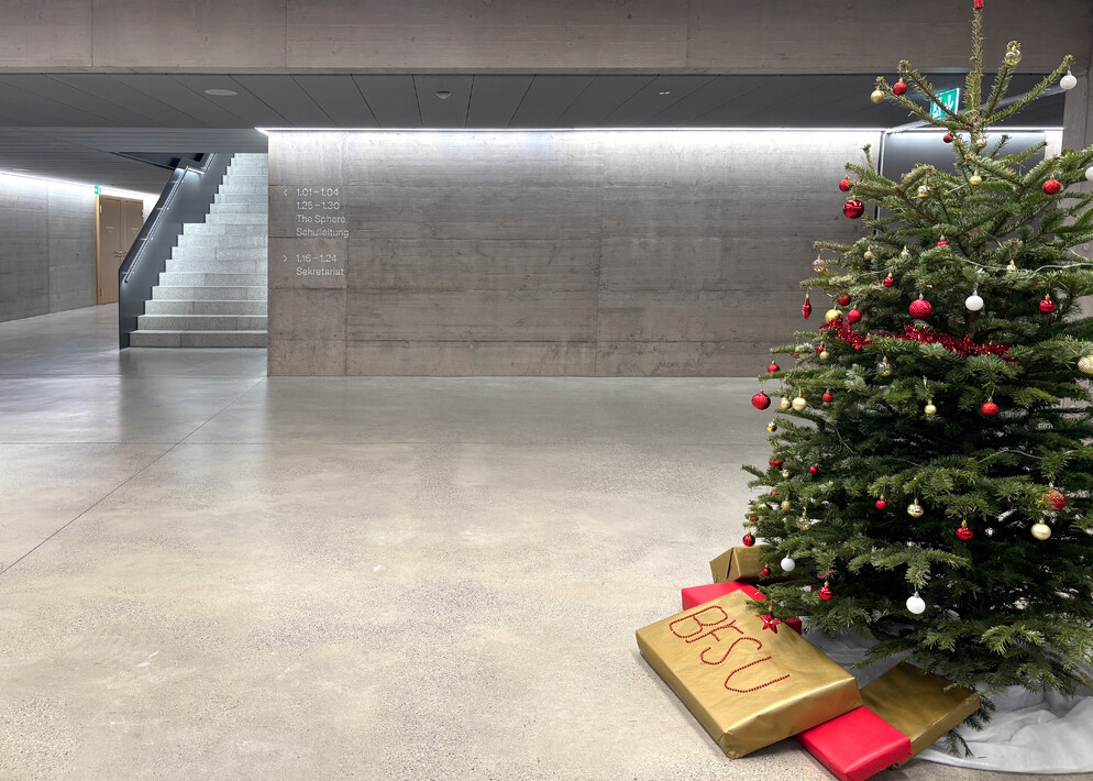 BFSU Wetzikon Weihnachtsdekoration