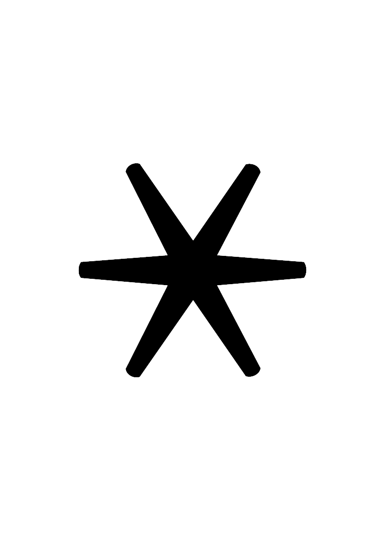 Designauftritt