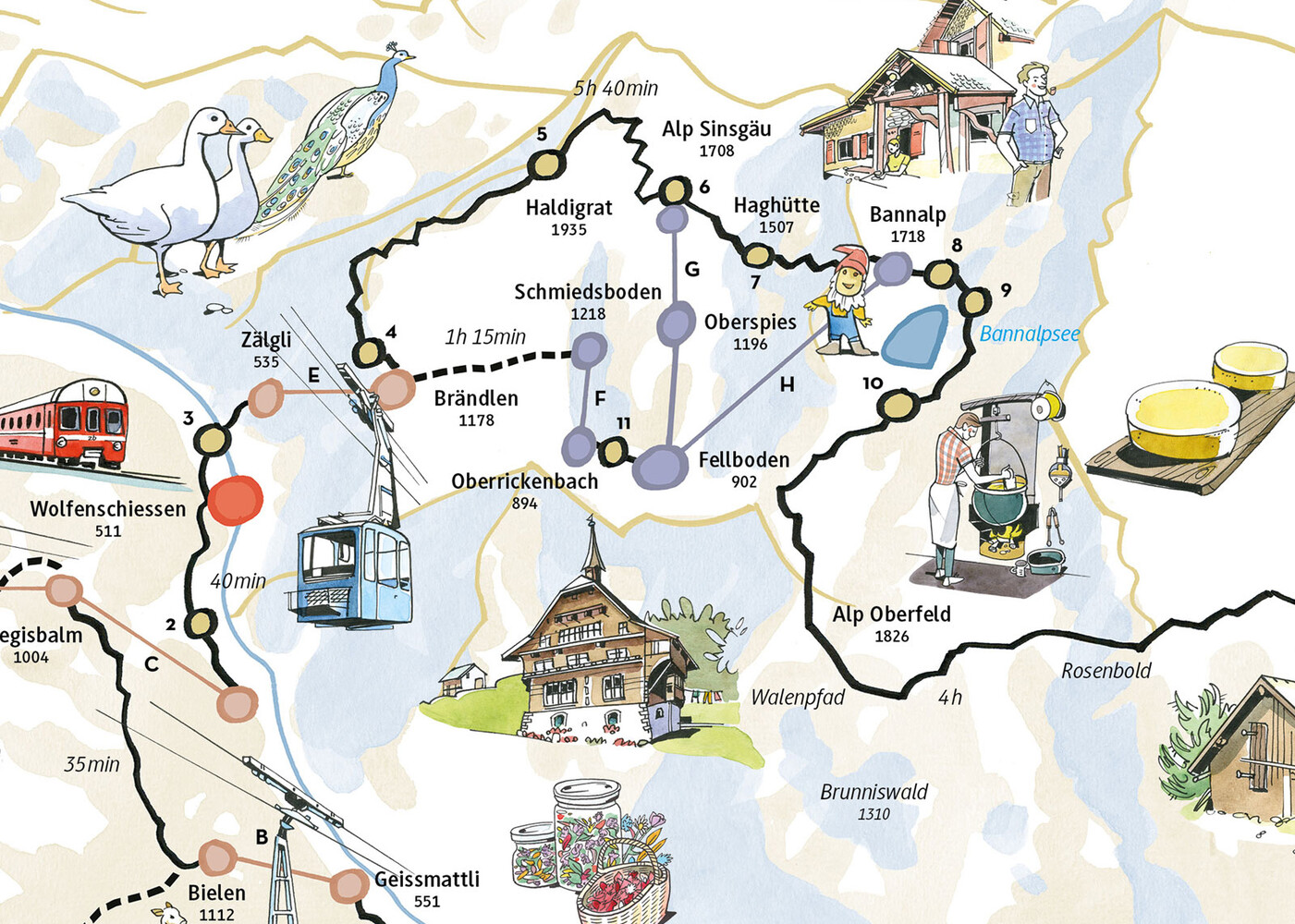 Alpkäse-Trail und Buiräbähnli-Safari