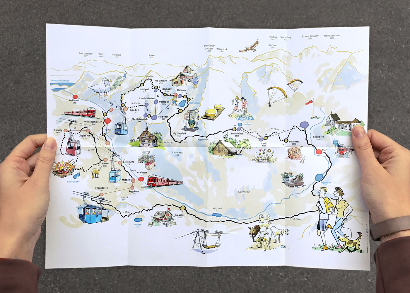 Alpkäse-Trail und Buiräbähnli-Safari