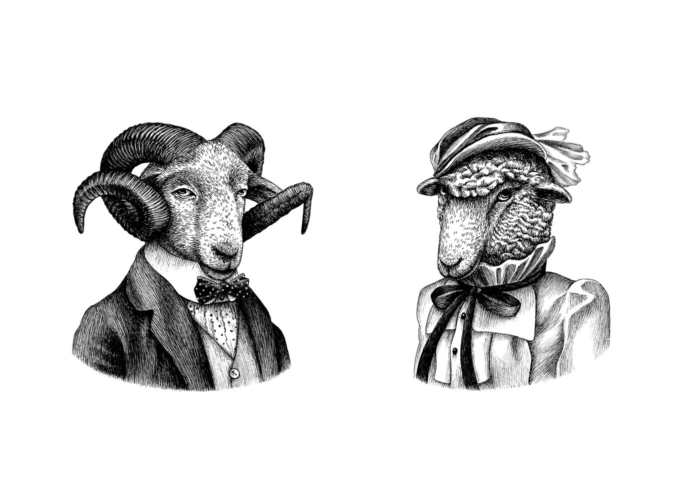 Etikettendesign Akkurat