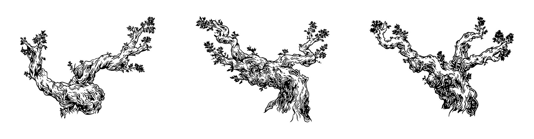 Etikettendesign Sortenrein