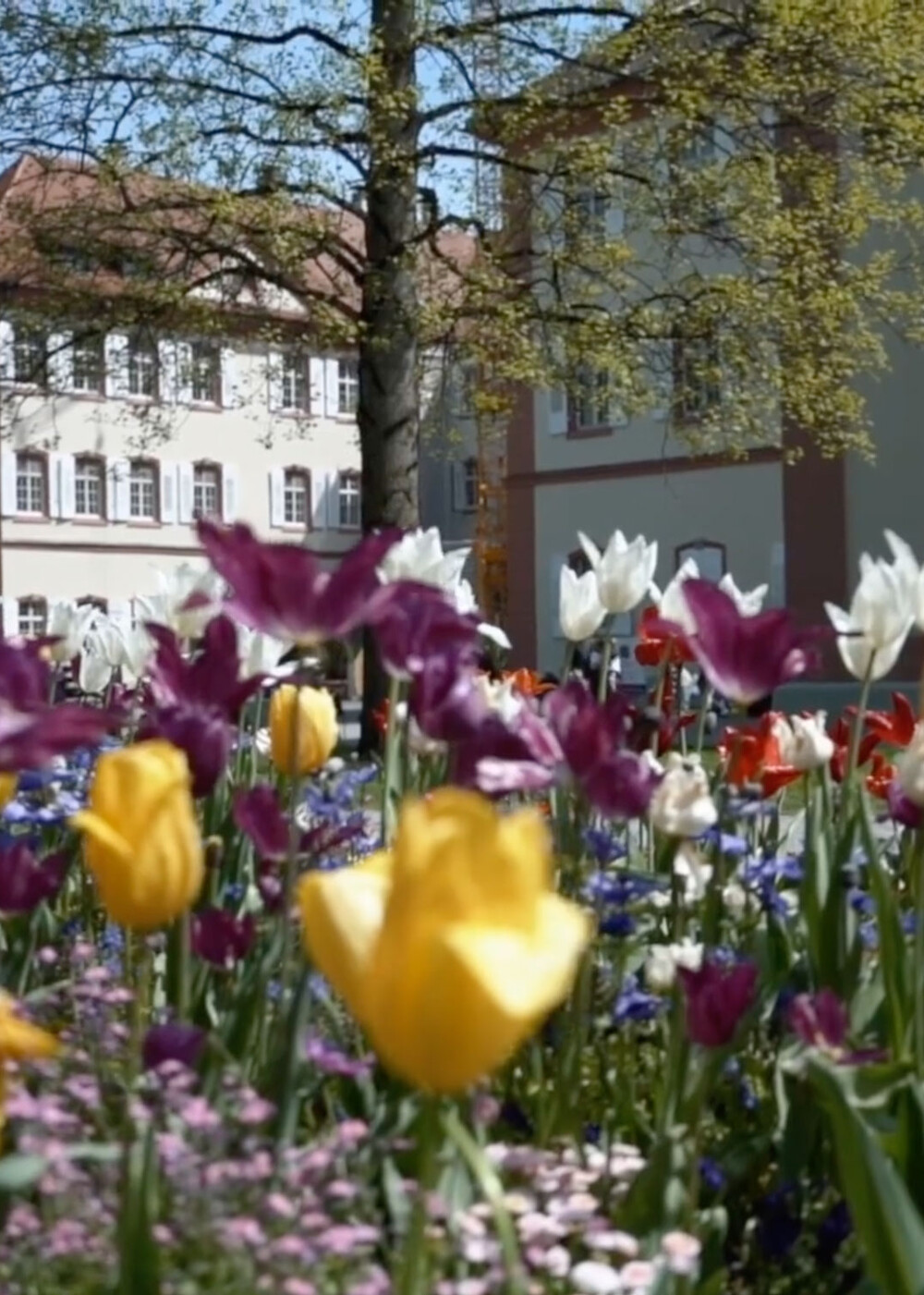 Graphic Recording for Groundlake Partners