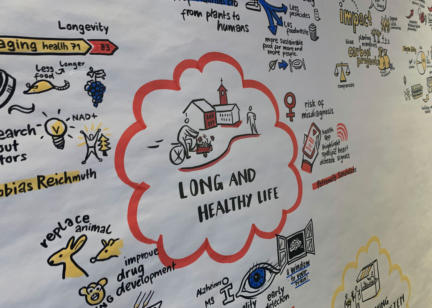 Graphic Recording Impact Circle Event