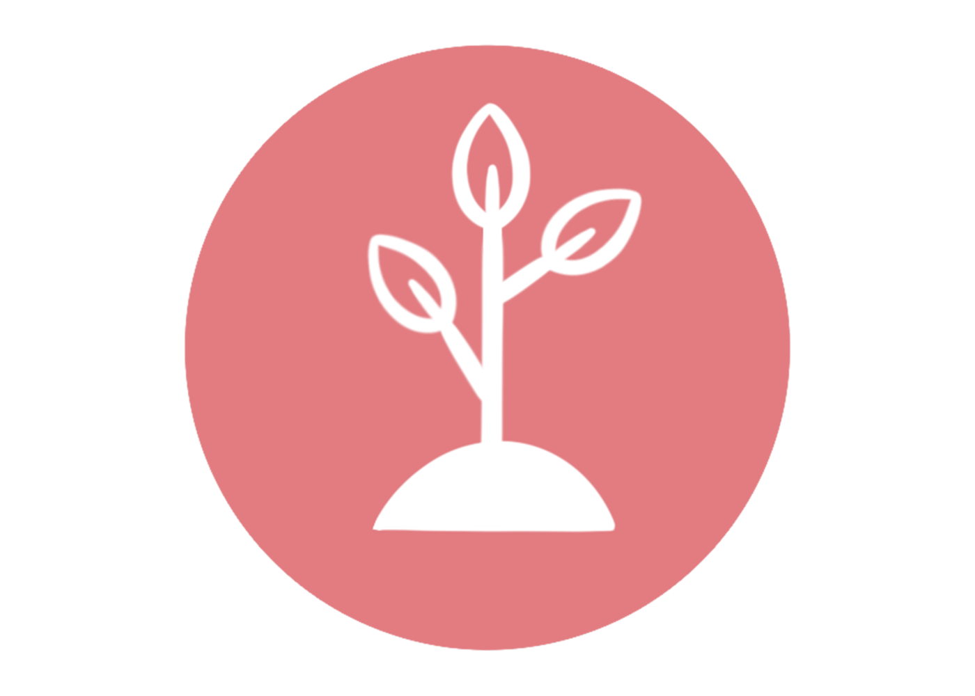 Illustrationen Versuche