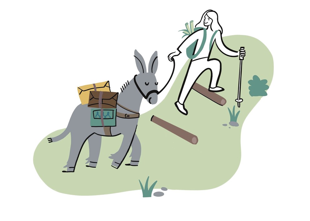 Nachhaltigkeitsstrategie