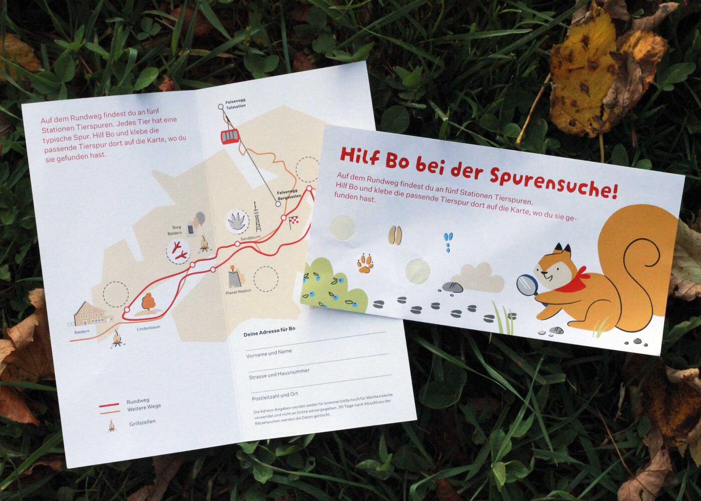 Rätselwochen