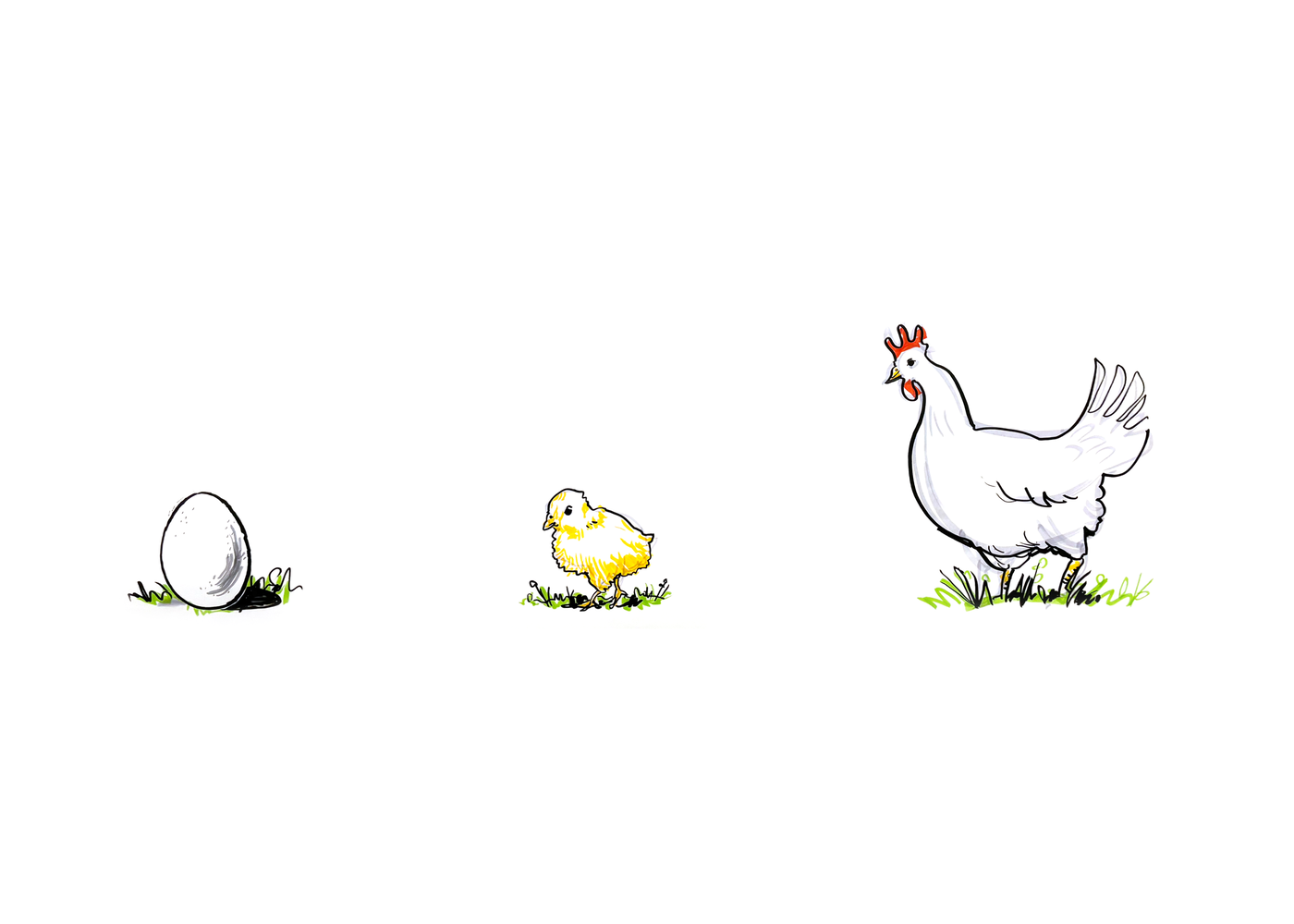 Visual Facilitation Rhyiad