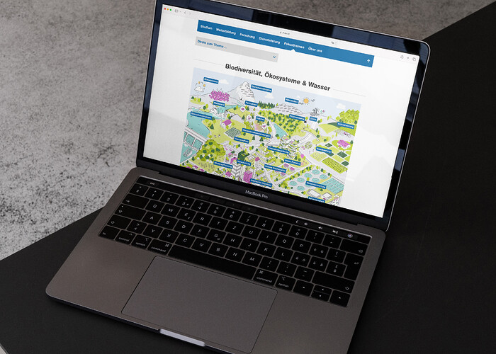 Zielbild Nachhaltigkeit