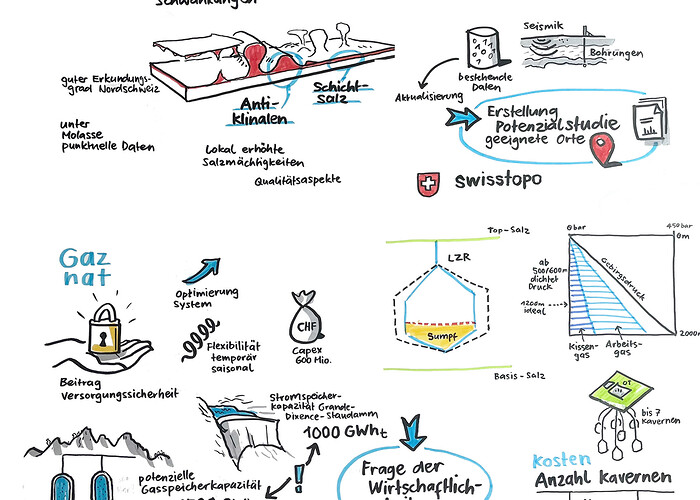 Graphic Recording Salinen